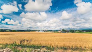 《农村集体土地价格评估技术指引》发布 集体土地如何定价有了新规范